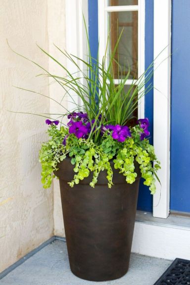 Aestetic-Front-Porch-Flower-Pot-Ideas